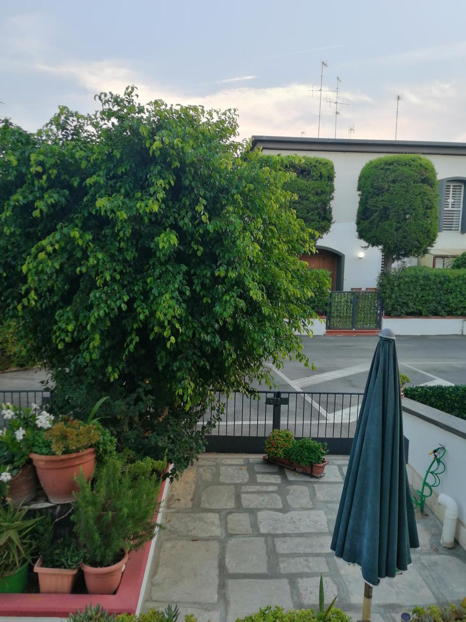 Marlene Apartment Torre A Mare Ngoại thất bức ảnh